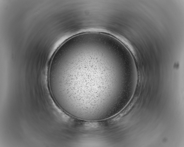 X0000090991006200708091515