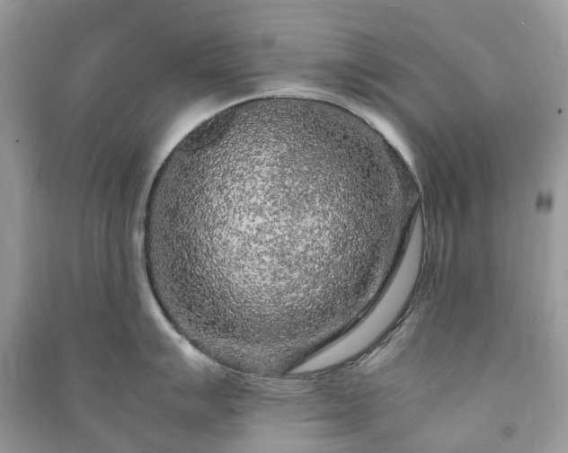 X0000090991007200708091515