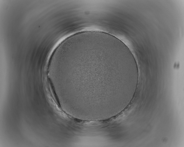 X0000090991008200708091515