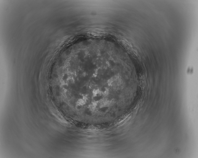 X0000090991009200708091514