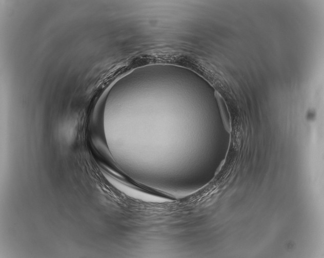 X0000090991010200708091514