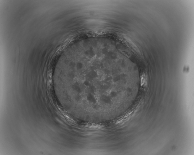 X0000090991011200708091514