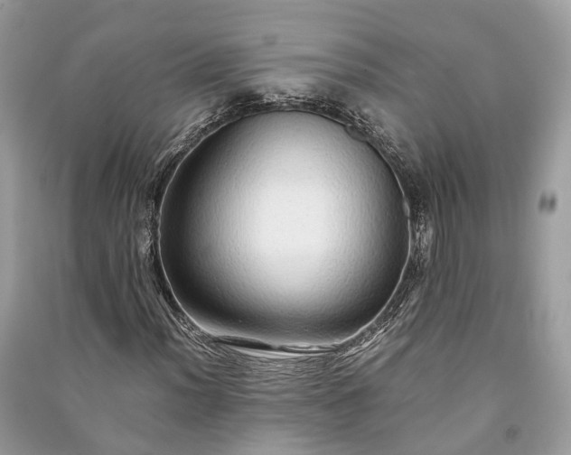 X0000090991012200708091514