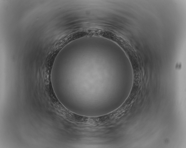 X0000090991013200708091514