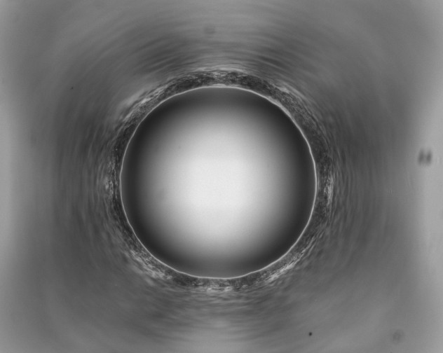 X0000090991014200708091514