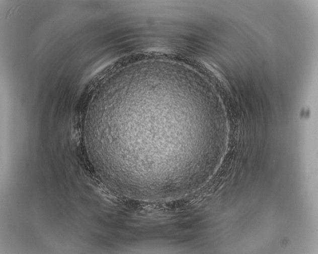 X0000090991015200708091514