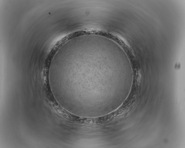 X0000090991016200708091514