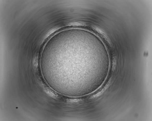 X0000090991017200708091514