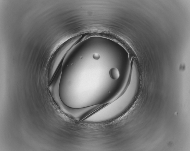 X0000090991018200708091514