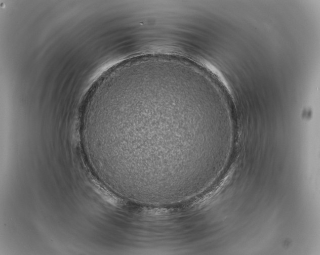 X0000090991019200708091514