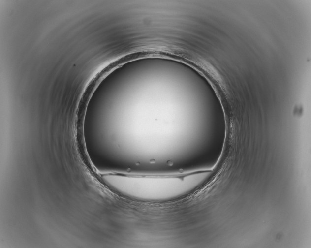 X0000090991020200708091514