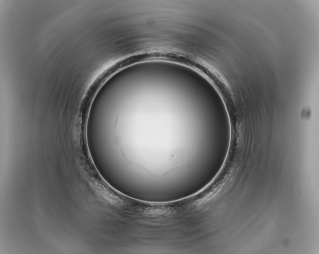 X0000090991021200708091514