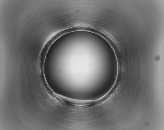 X0000090991022200708091514