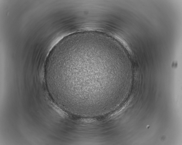 X0000090991023200708091514