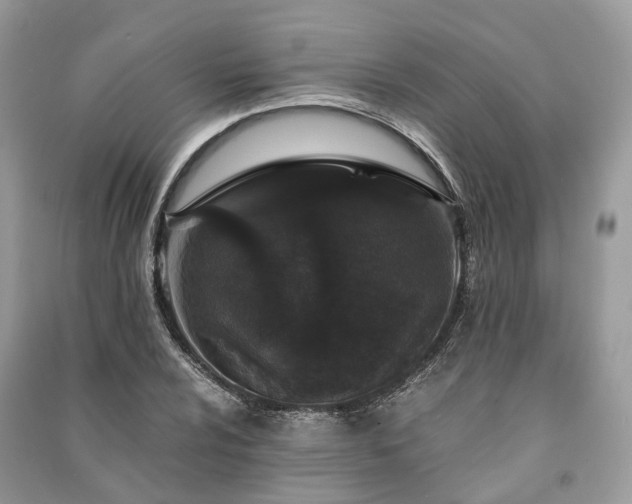 X0000090991024200708091514