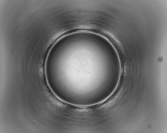 X0000090991025200708091514