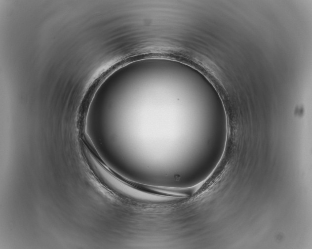 X0000090991026200708091514