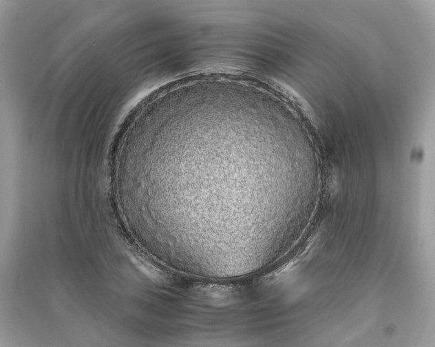 X0000090991027200708091514