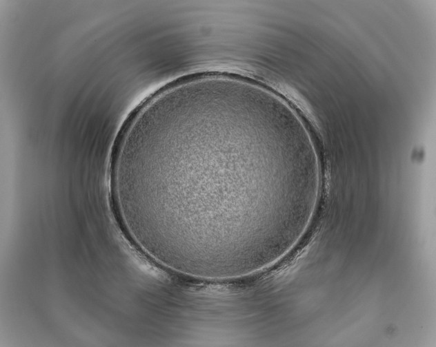 X0000090991028200708091514