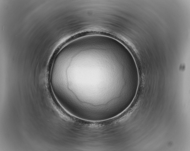 X0000090991029200708091514