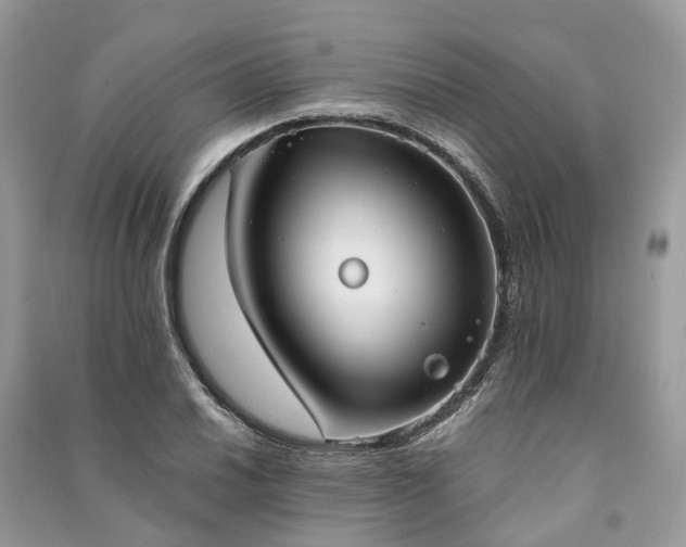 X0000090991030200708091514