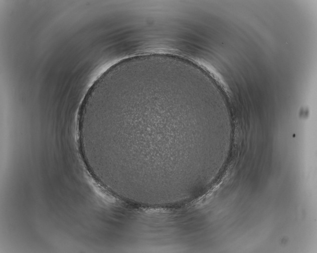 X0000090991031200708091514