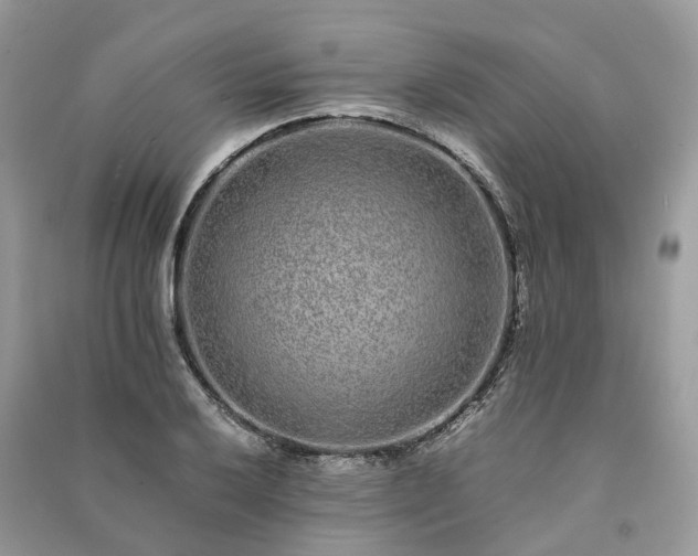 X0000090991032200708091514