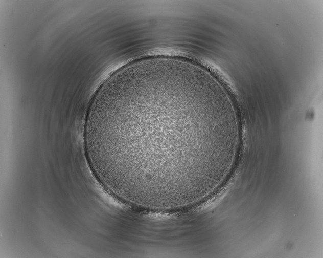 X0000090991033200708091514