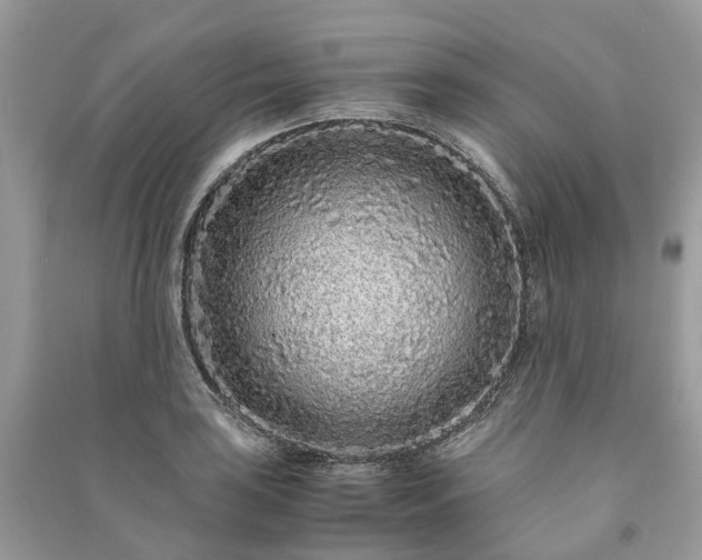 X0000090991035200708091514