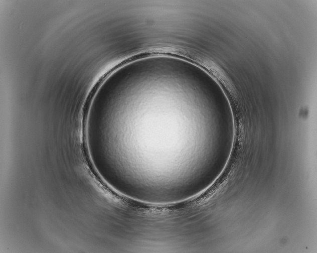 X0000090991036200708091514