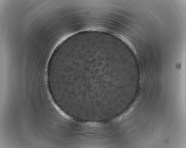 X0000090991037200708091514