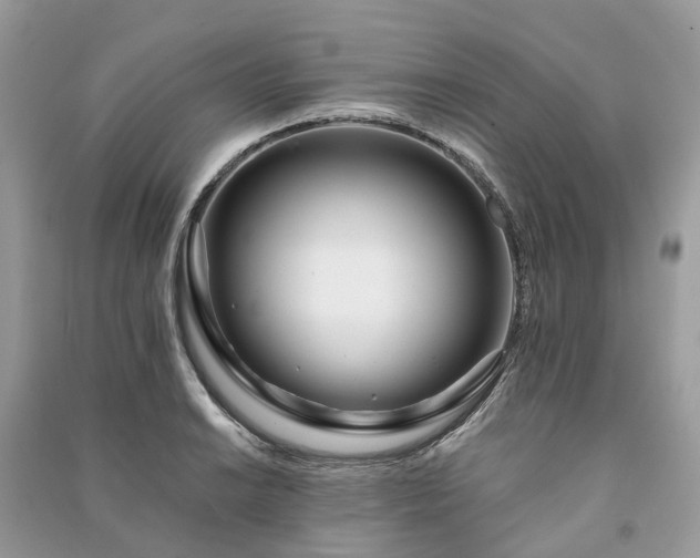 X0000090991038200708091514