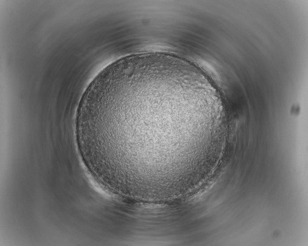 X0000090991039200708091514