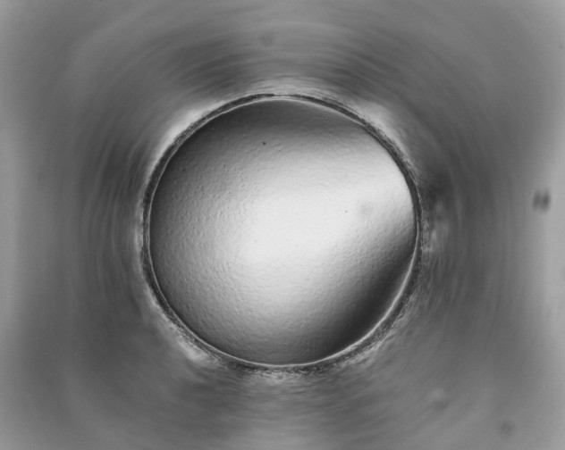 X0000090991040200708091514