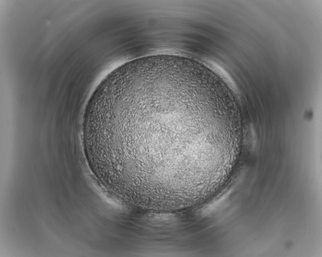 X0000090991043200708091515