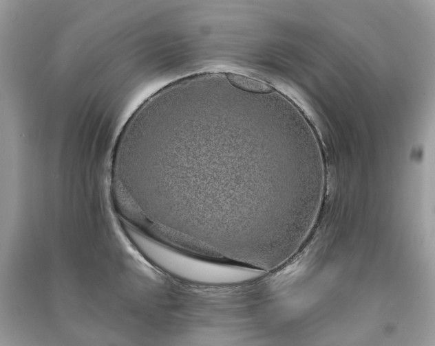 X0000090991048200708091515