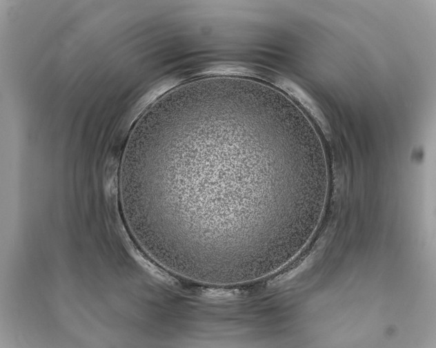 X0000090991049200708091515