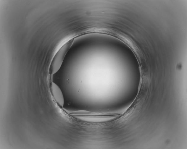 X0000090991050200708091515