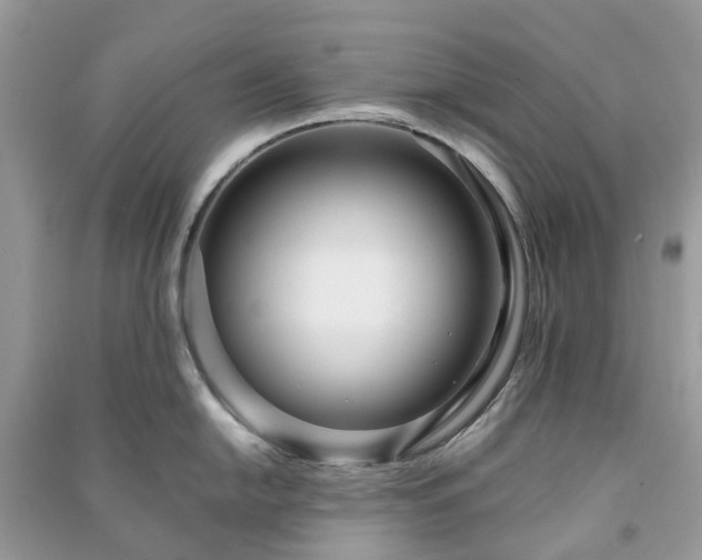 X0000090991054200708091515