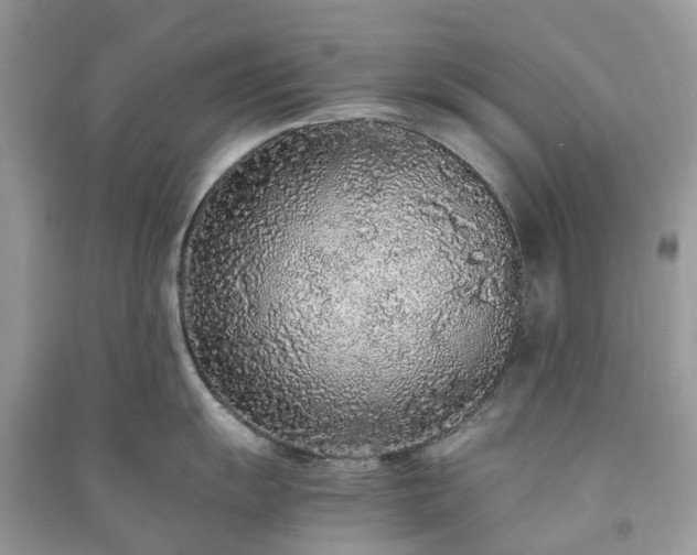 X0000090991055200708091515