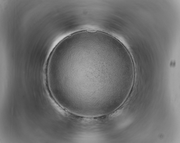 X0000090991056200708091515