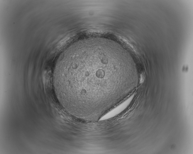 X0000090991059200708091514