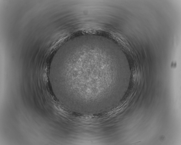 X0000090991060200708091514