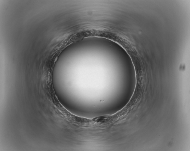 X0000090991061200708091514