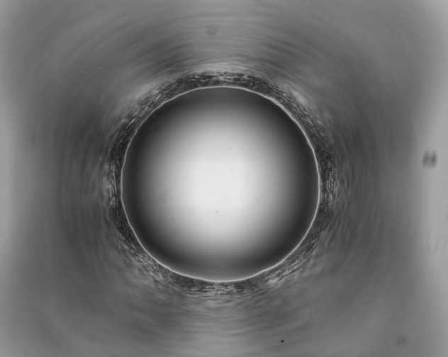 X0000090991062200708091514