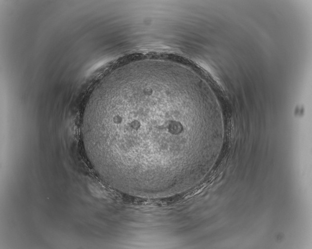 X0000090991063200708091514