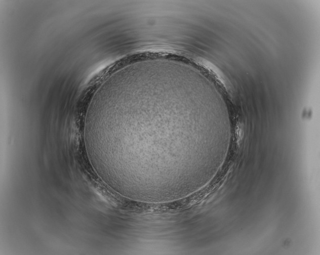 X0000090991064200708091514