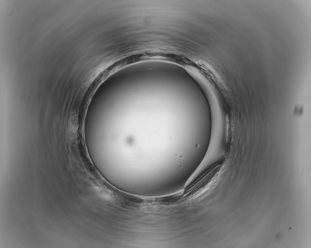 X0000090991065200708091514