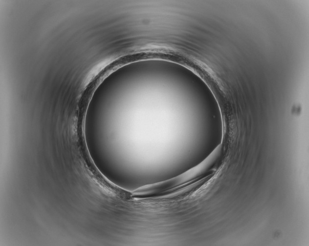 X0000090991066200708091514