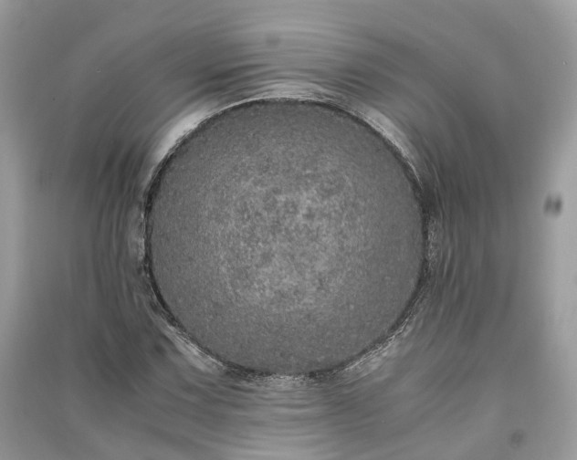 X0000090991067200708091514